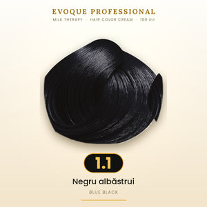 1.1 – Negru albăstrui