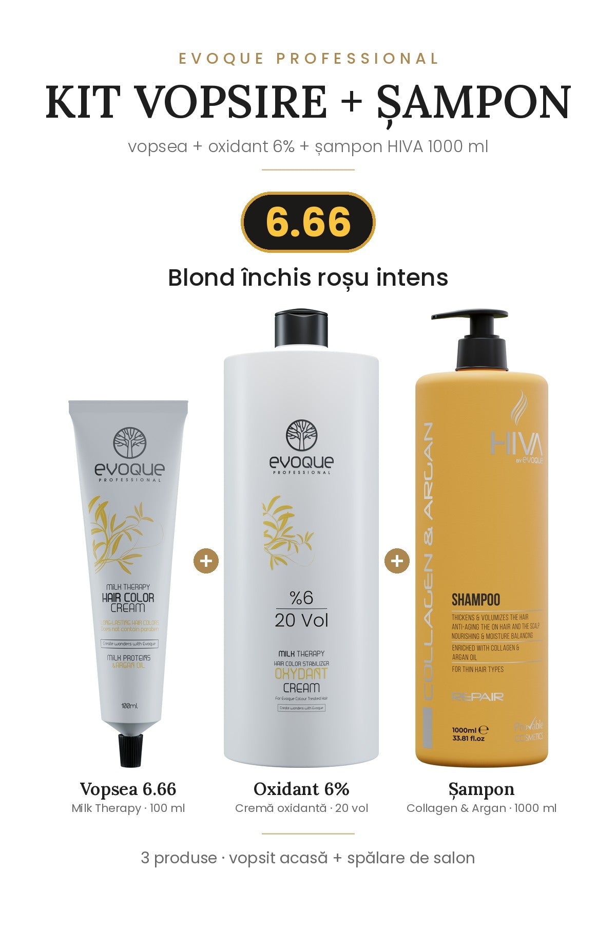 Kit vopsire + șampon – vopsea Evoque, oxidant 6% + șampon HIVA 1000 ml